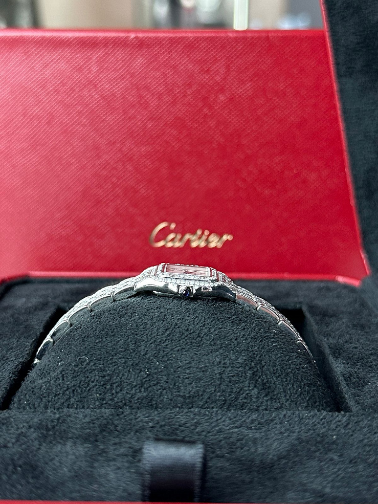 Panthere de Cartier Mini Steel Custom Diamonds
