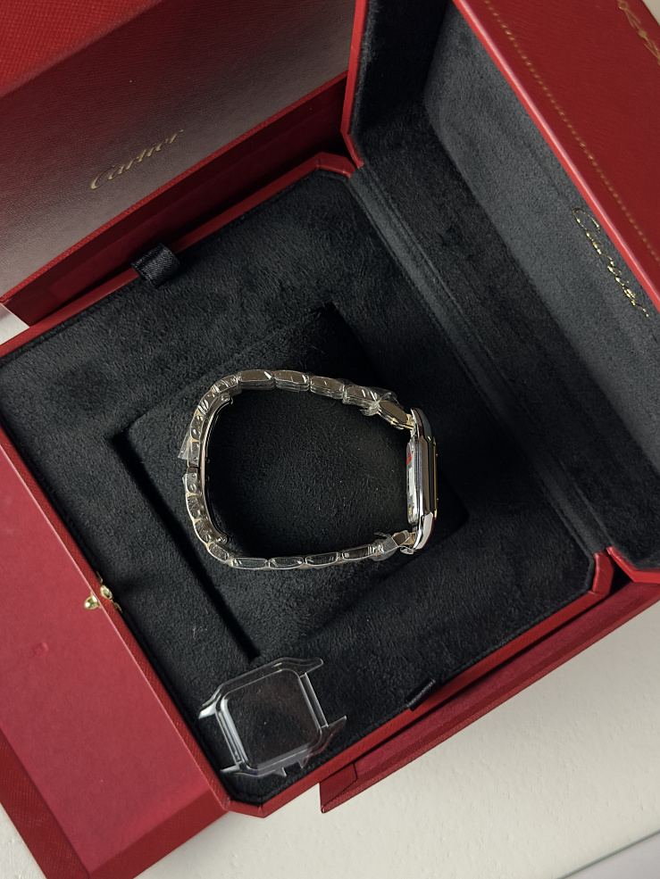 Panthere de Cartier Medium Steel & yellow gold