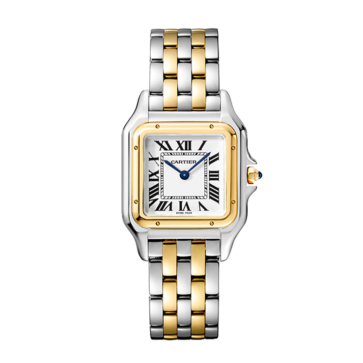 Panthere de Cartier Medium Steel & yellow gold