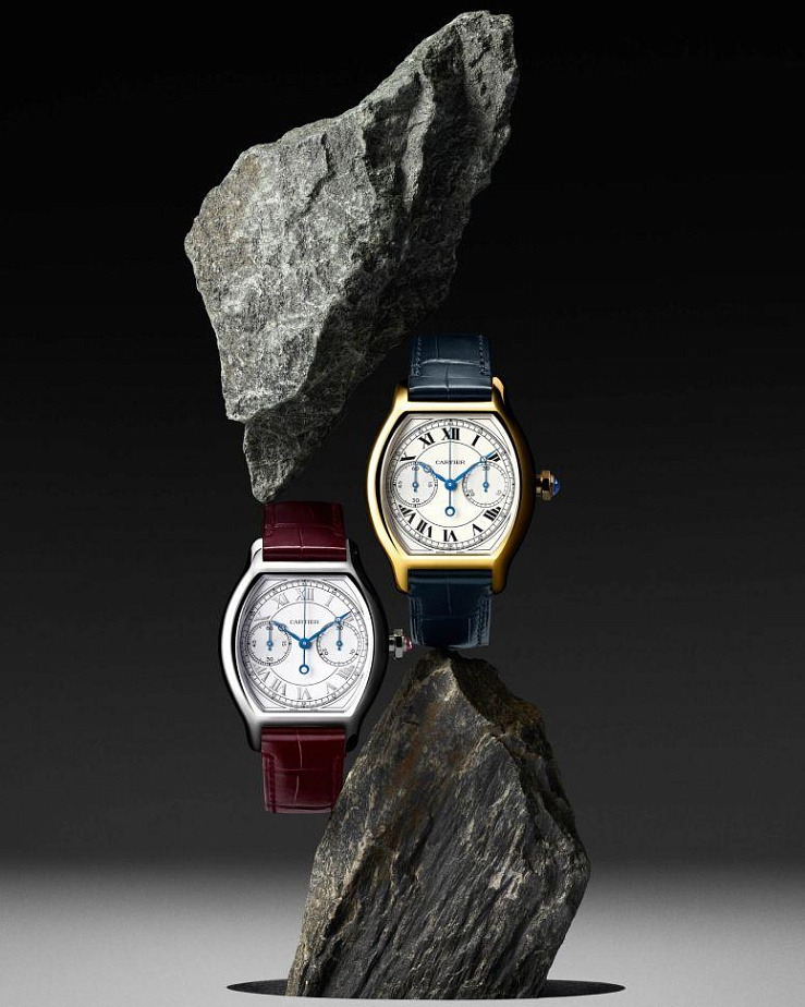 Prive Tortue Monopoussoir