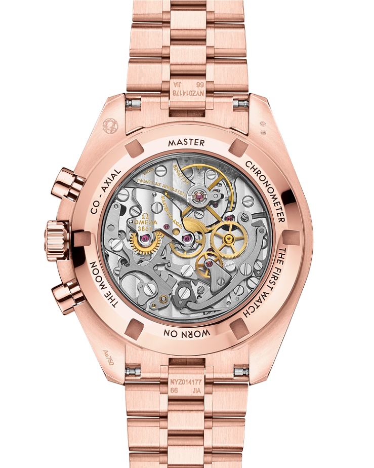 Speedmaster Moonwatch Professional
