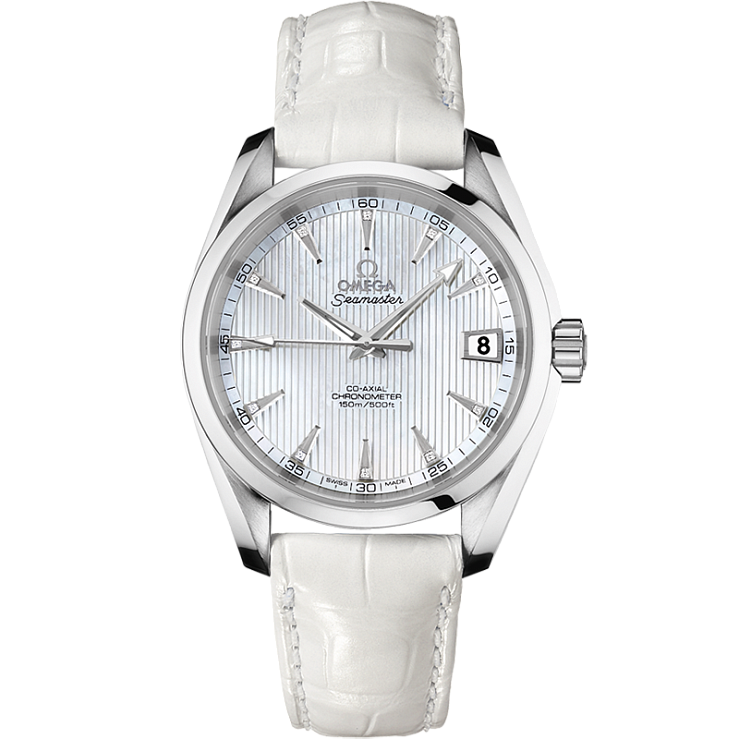 Seamaster Aqua Terra