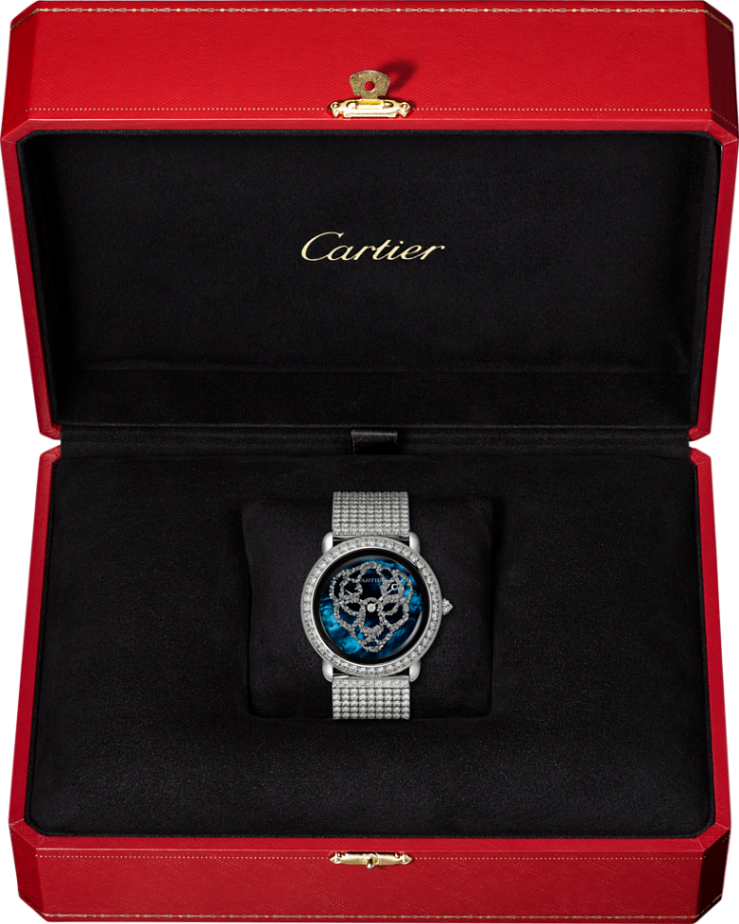 Revelation D Une Panthere