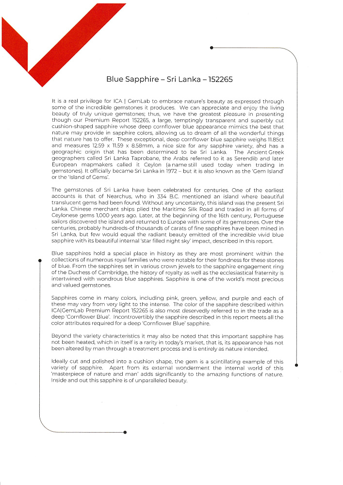 NO NAME in stock in Dubai, UAE in luxury boutique "WATCH LAB"