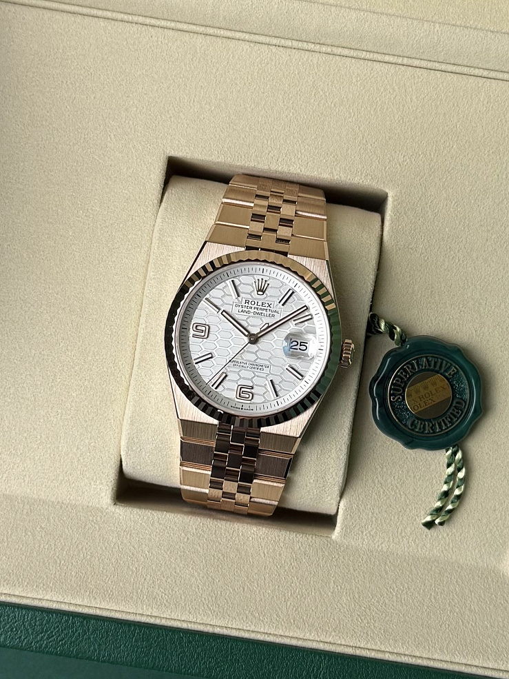 Land-Dweller 40mm Everose gold