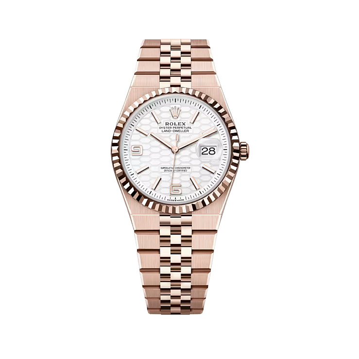 Land-Dweller 36mm Rose Gold