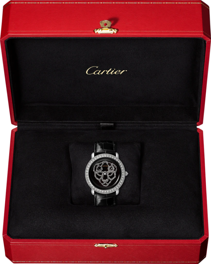 Revelation D Une Panthere