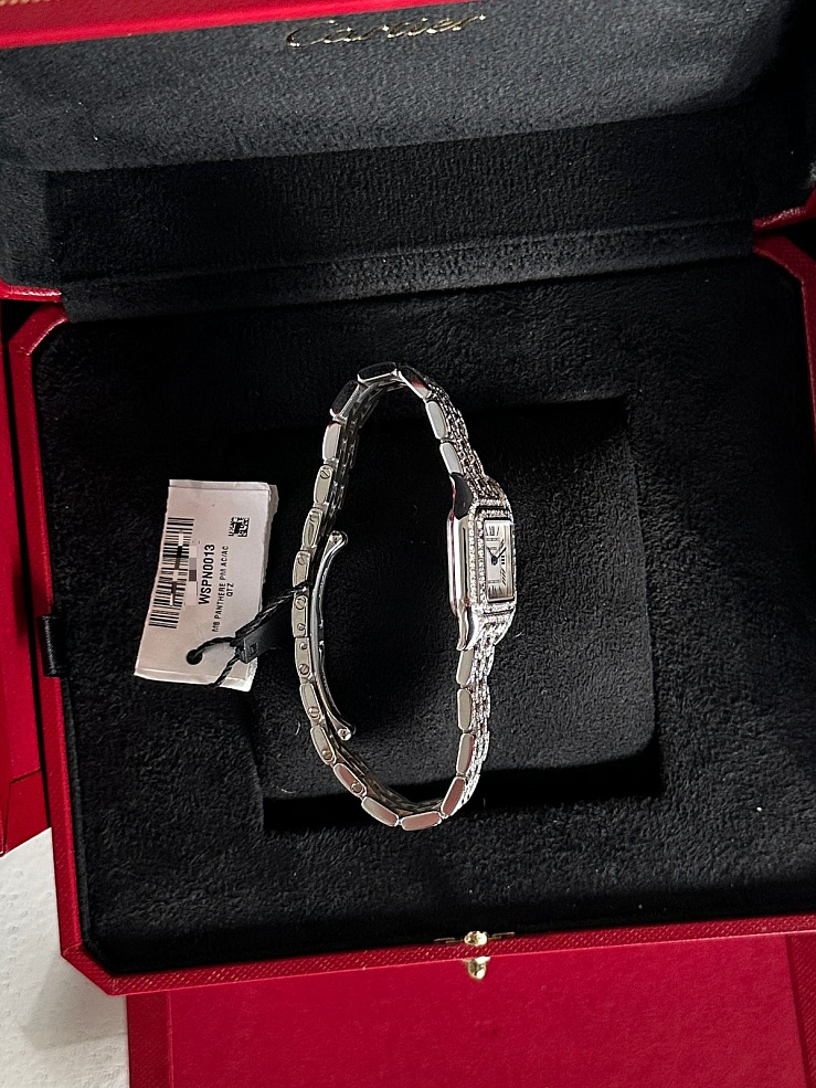 Panthere de Cartier Small Custom Diamonds