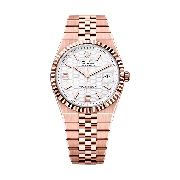 Land-Dweller 40mm Everose gold