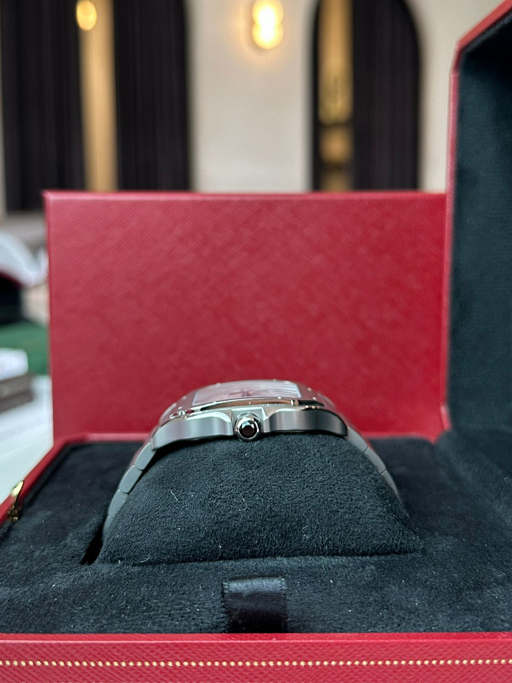 Santos Large Titanium
