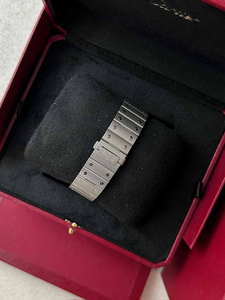 Santos Large Titanium