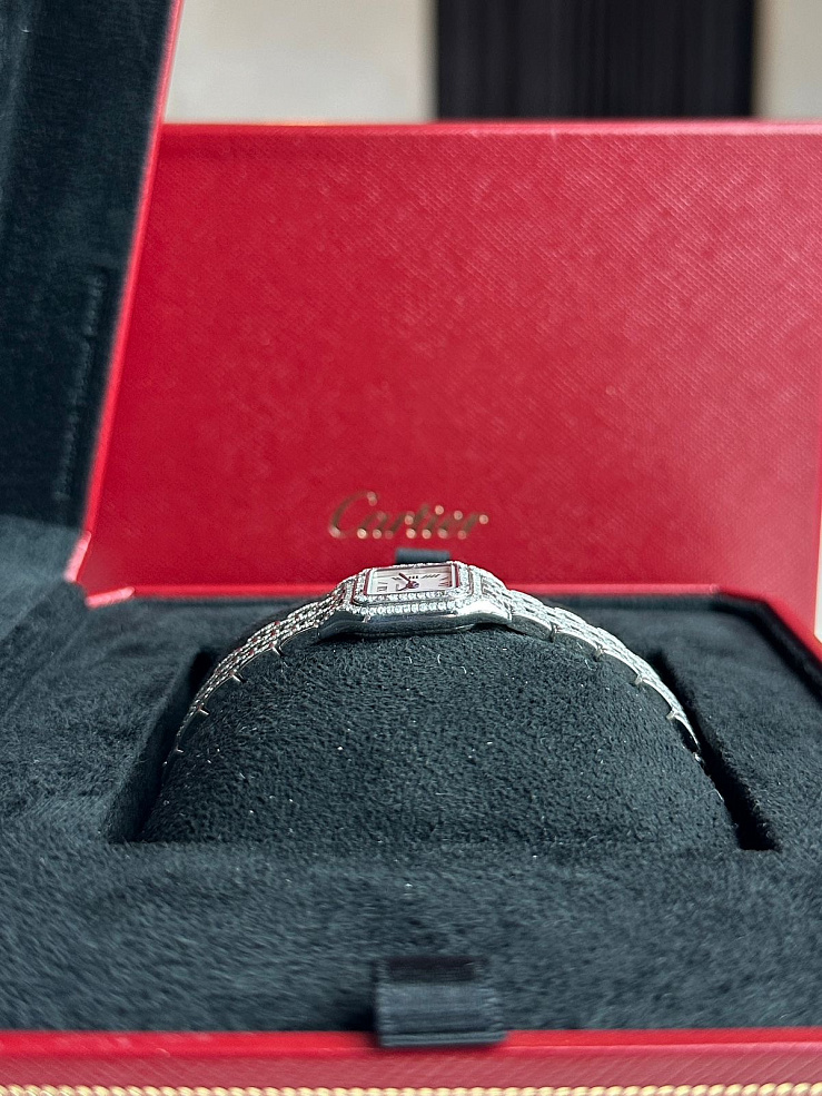 Panthere de Cartier Mini Steel Custom Diamonds