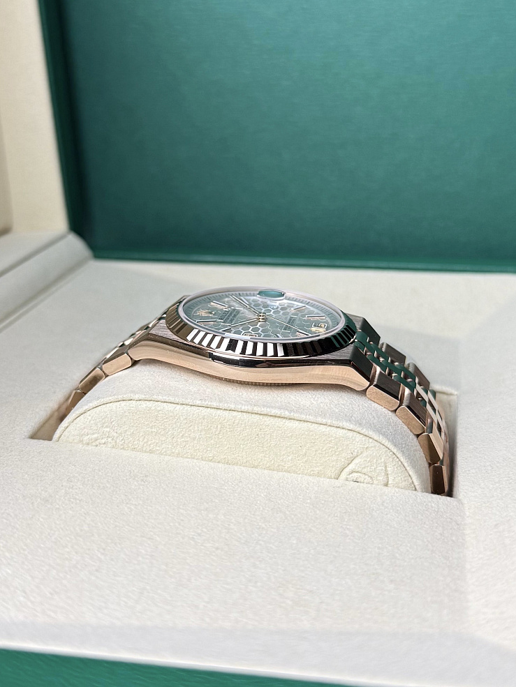 Land-Dweller 40mm Everose gold