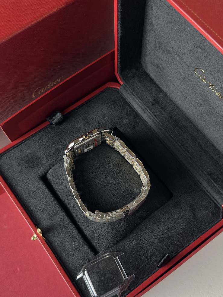 Panthere de Cartier Medium Steel & yellow gold