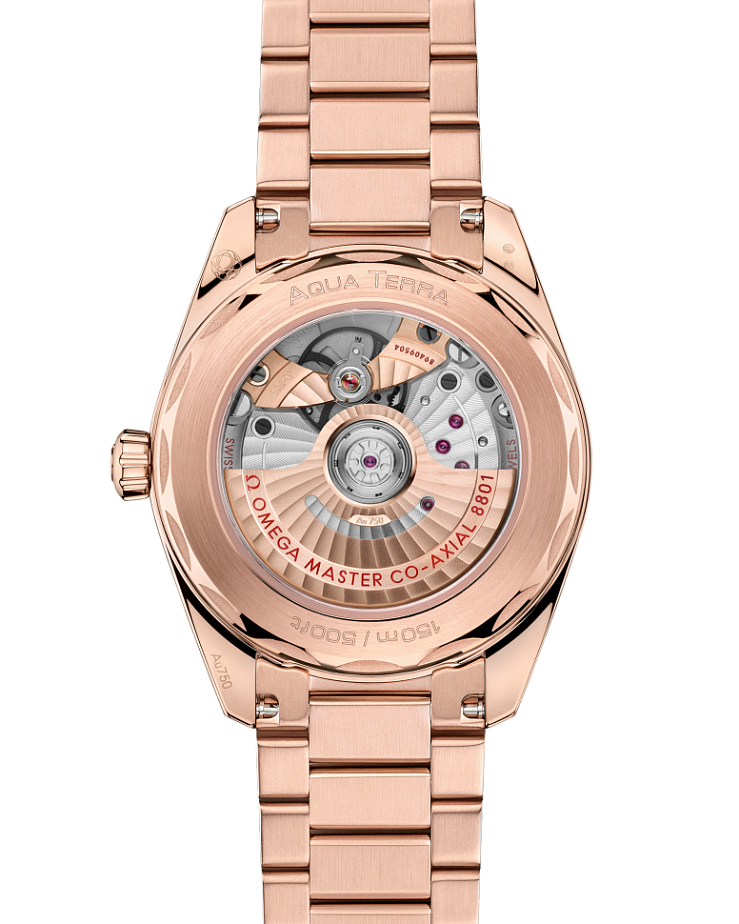 Seamaster Aqua Terra Shades